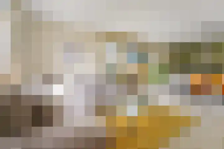 Zeesluisweg 82 Den Haag thumbnail 8