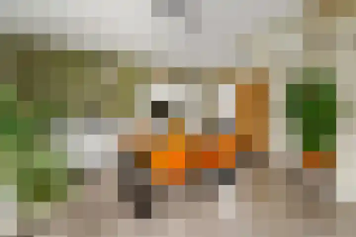 Zeesluisweg 82 Den Haag thumbnail 9