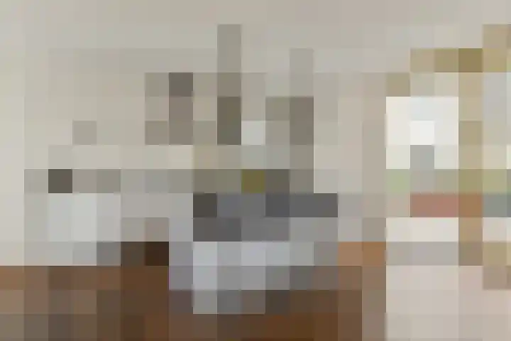 Zeesluisweg 82 G Den Haag thumbnail 11