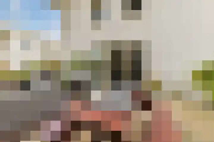 Zeesluisweg 82 G Den Haag thumbnail 15