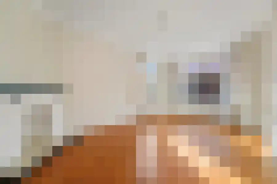 Zeesluisweg 86 Den Haag thumbnail 7