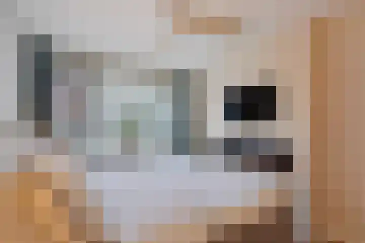 Zeesluisweg 90 F Den Haag thumbnail 31