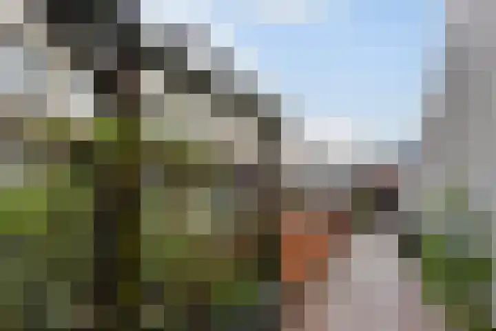 Zeesluisweg 90 F Den Haag thumbnail 9