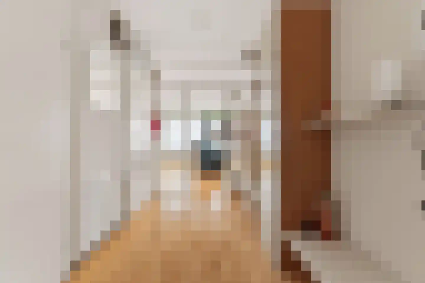 Zeesluisweg 90 K Den Haag thumbnail 16