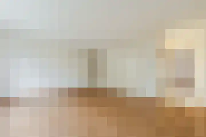 Zeester 20 Katwijk thumbnail 10