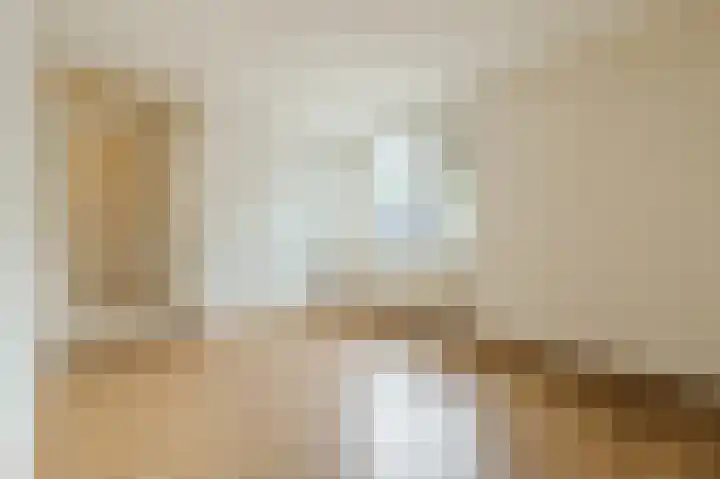 Zeester 20 Katwijk thumbnail 13