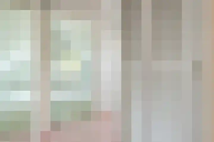 Zeester 20 Katwijk thumbnail 20