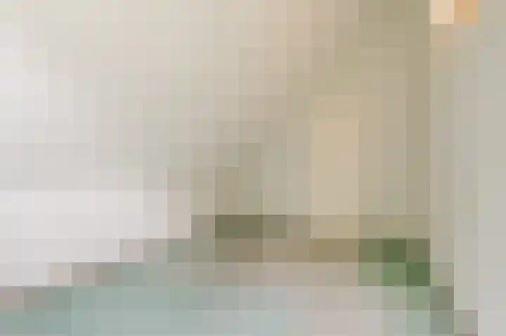 Zeester 20 Katwijk thumbnail 22