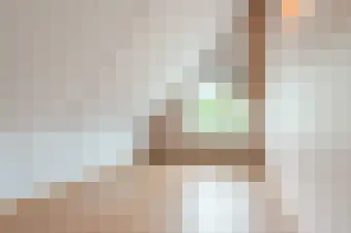Zeester 20 Katwijk thumbnail 23