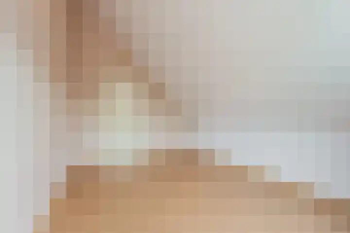 Zeester 20 Katwijk thumbnail 24
