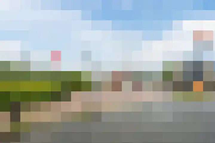 Zeester 20 Katwijk thumbnail 29