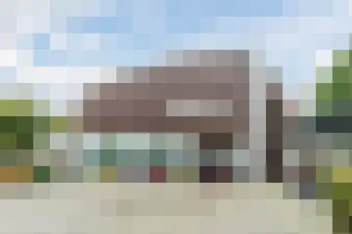 Zeester 20 Katwijk thumbnail 30