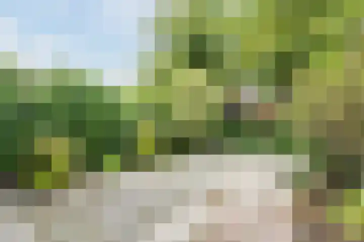 Zeester 20 Katwijk thumbnail 4