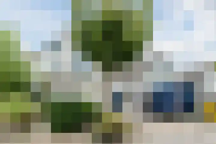 Zeester 20 Katwijk thumbnail 5