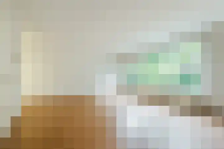 Zeester 20 Katwijk thumbnail 8
