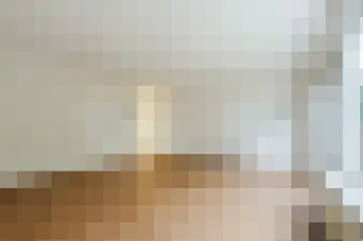Zeester 20 Katwijk thumbnail 9