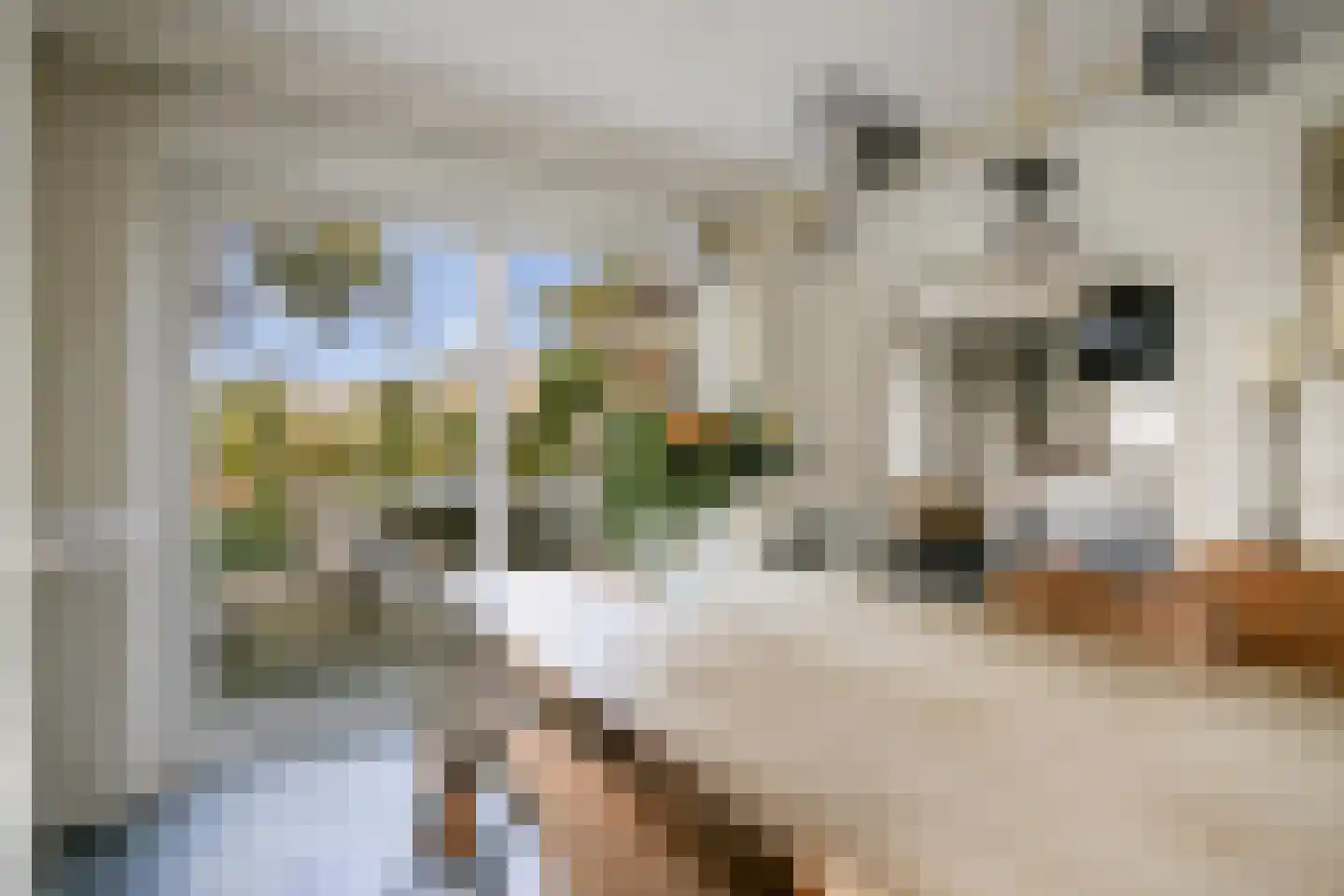 Zeester 27 IJsselmuiden thumbnail 11