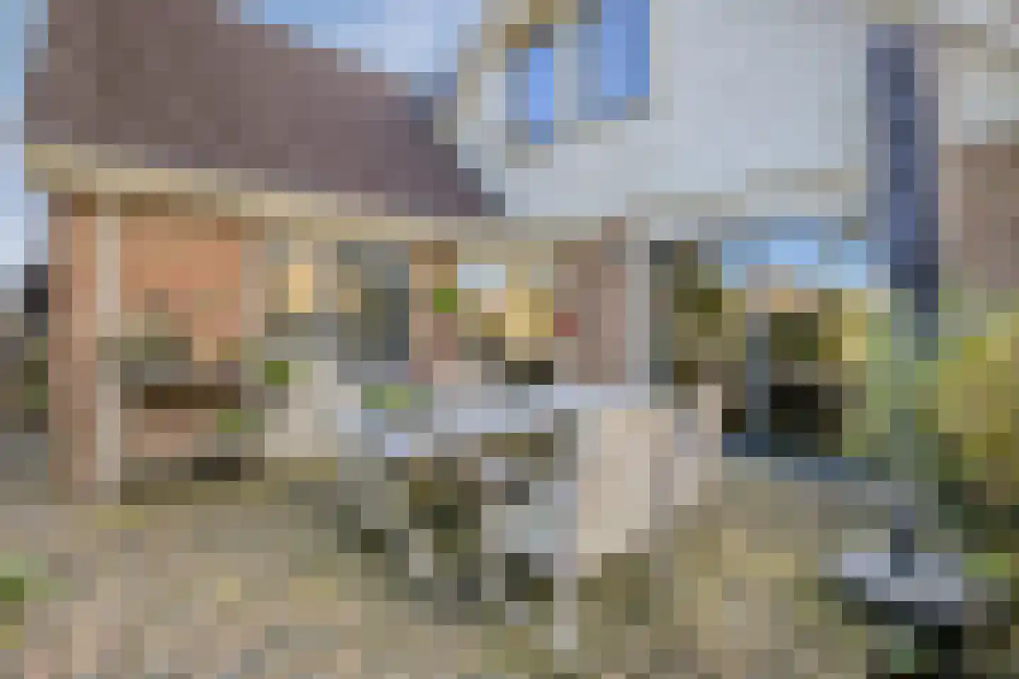 Zeester 27 IJsselmuiden thumbnail 30