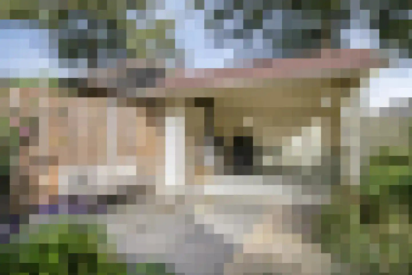 Zeester 27 IJsselmuiden thumbnail 36