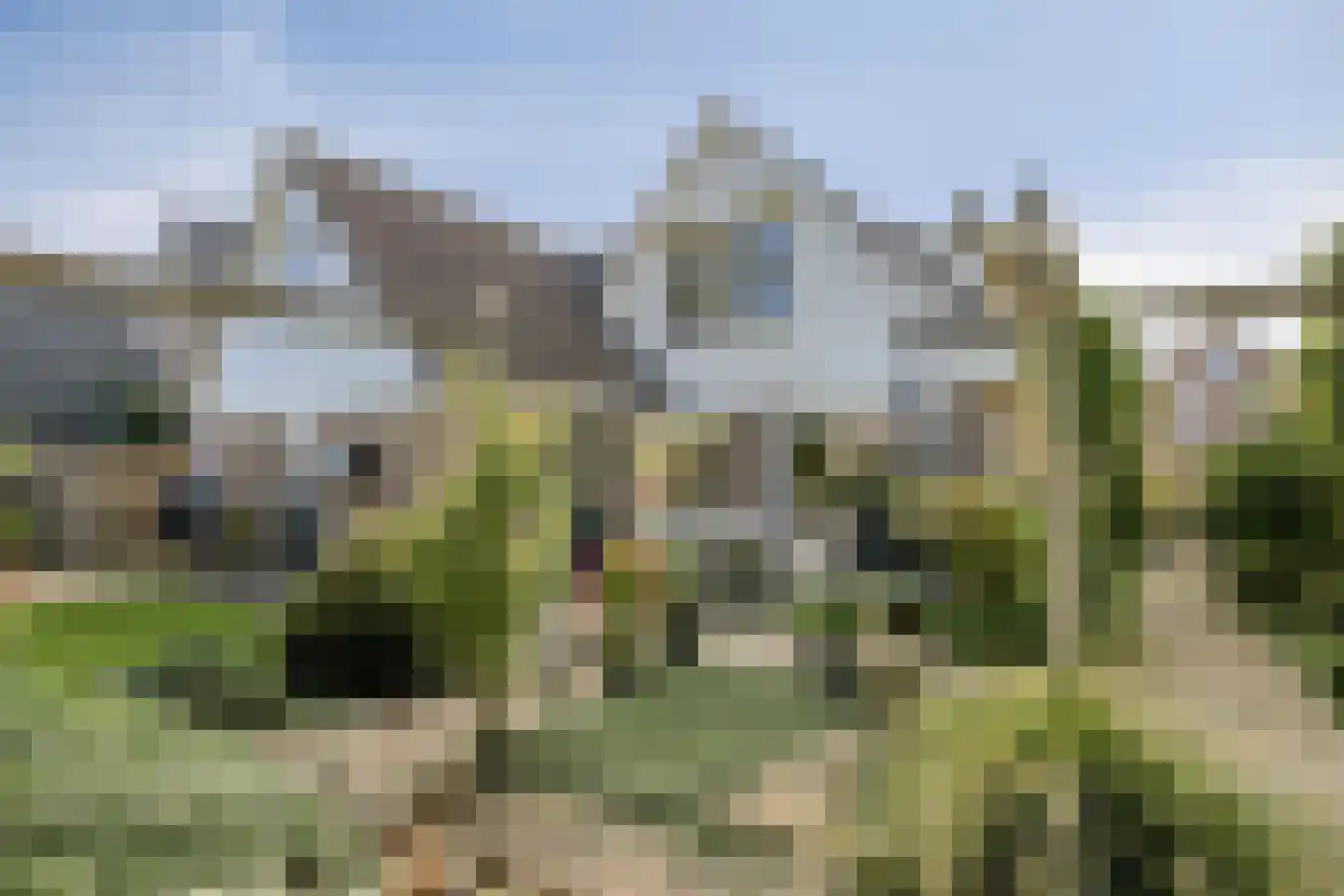 Zeester 27 IJsselmuiden thumbnail 38