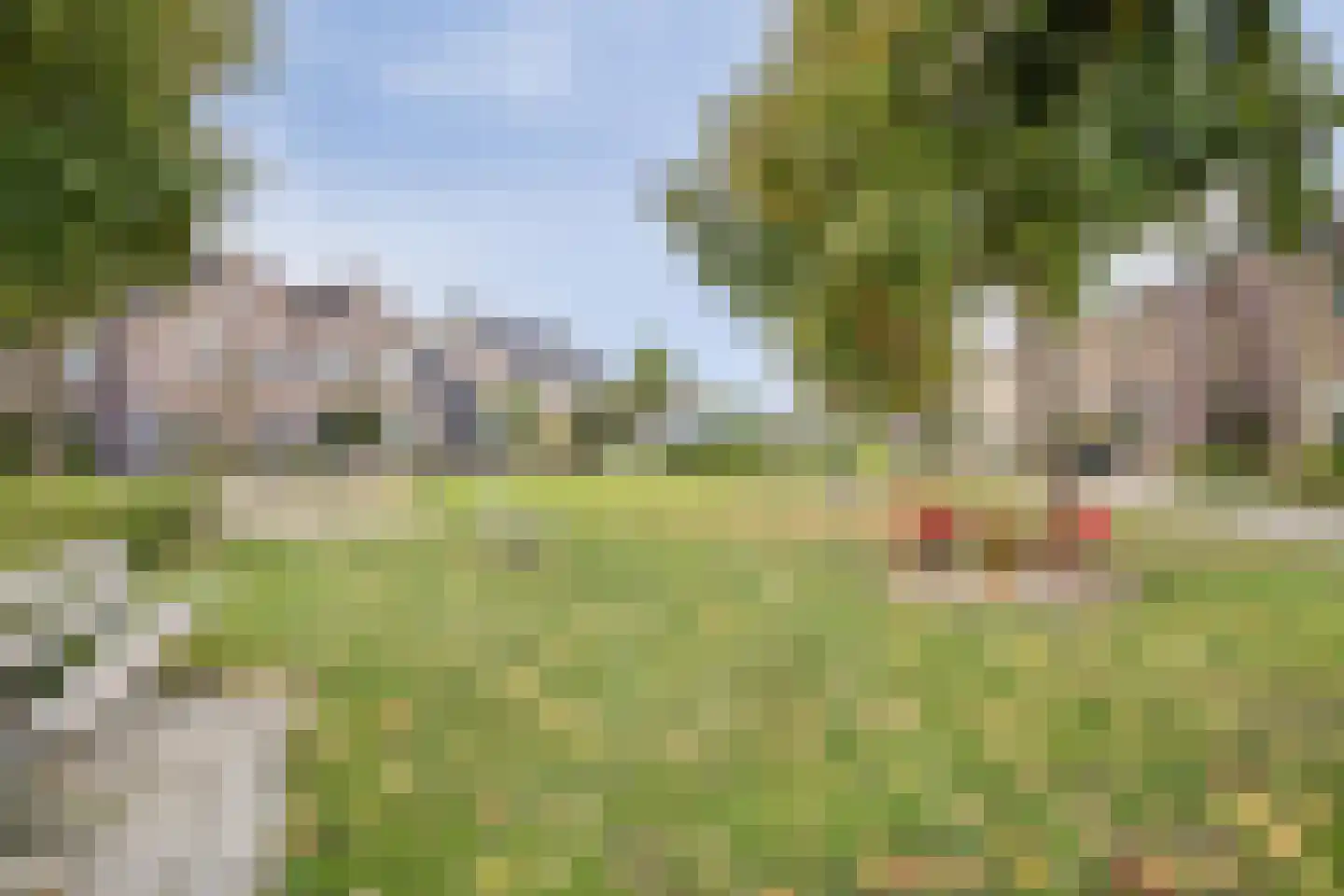 Zeester 27 IJsselmuiden thumbnail 41