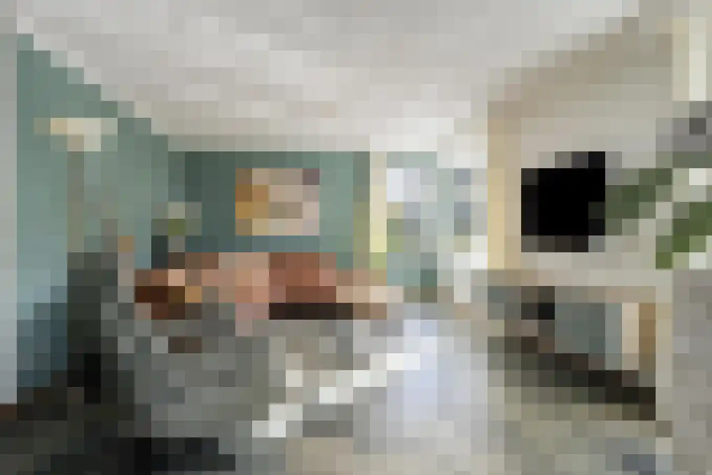 Zeester 27 IJsselmuiden thumbnail 5
