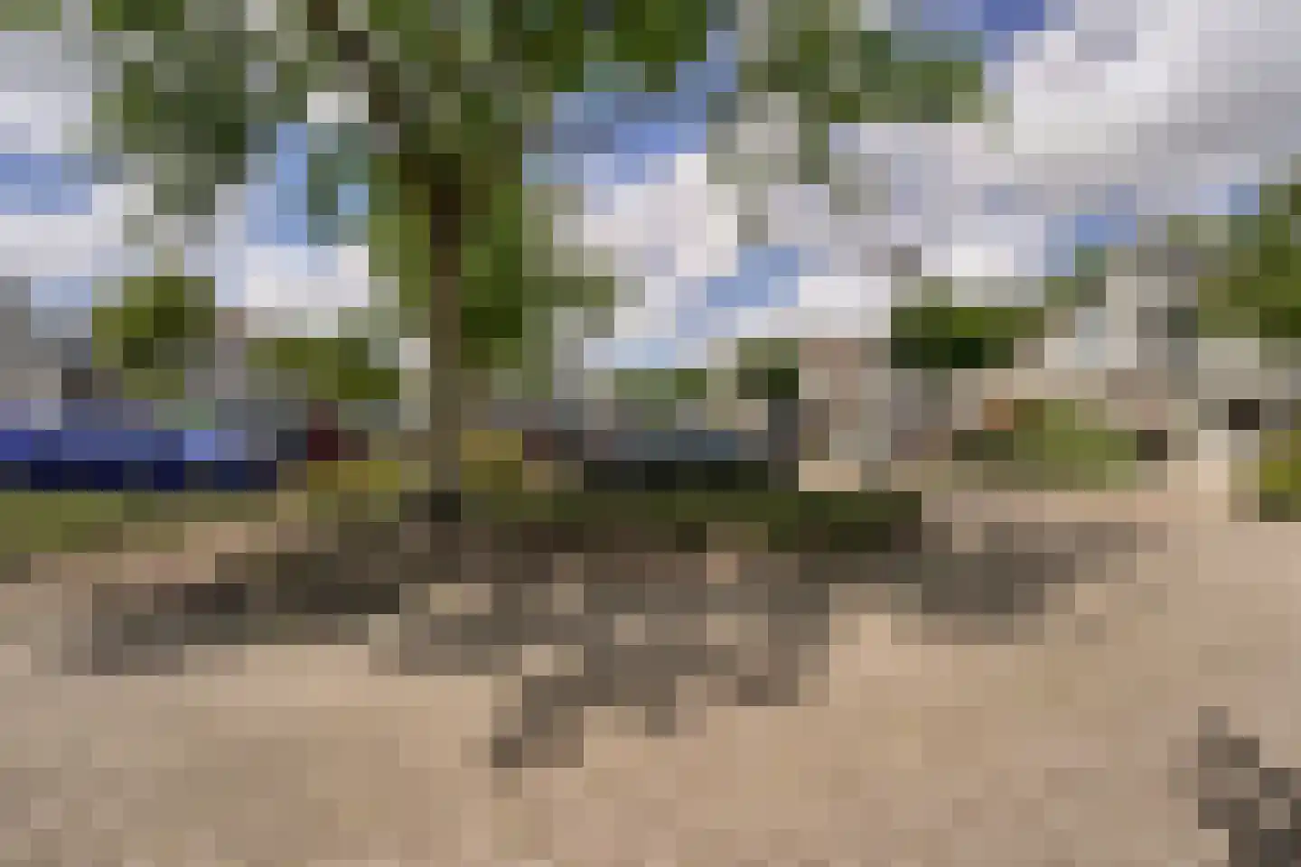 Zeester 28 Katwijk thumbnail 18