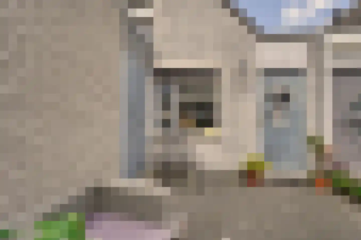 Zeester 28 Katwijk thumbnail 5