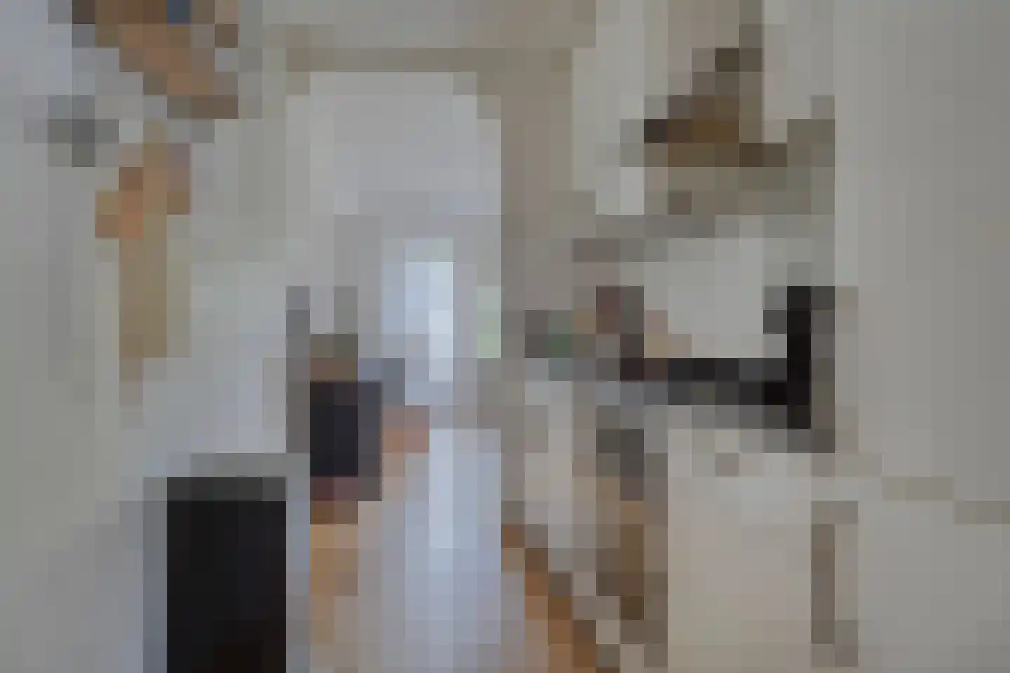 Zeester 28 Katwijk thumbnail 7