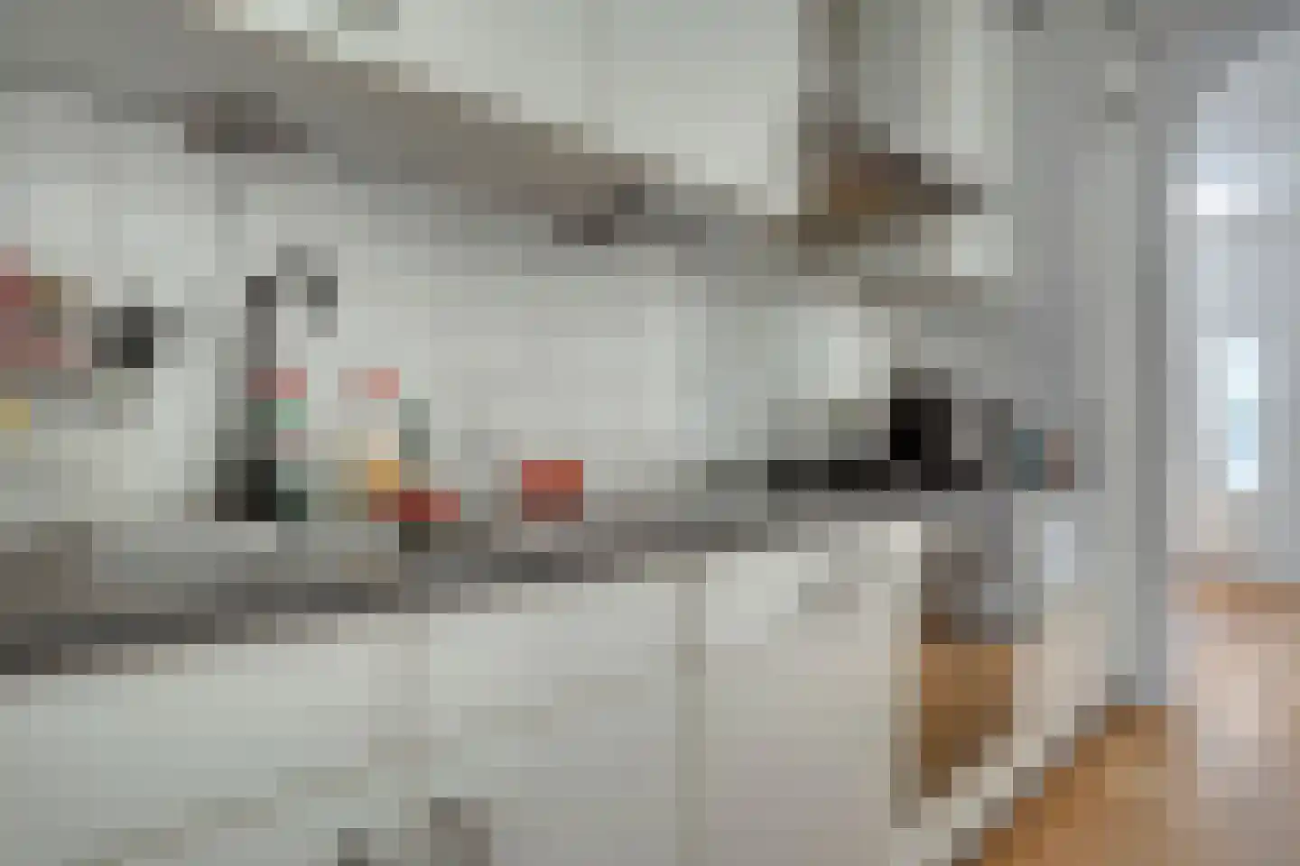 Zeester 28 Katwijk thumbnail 8