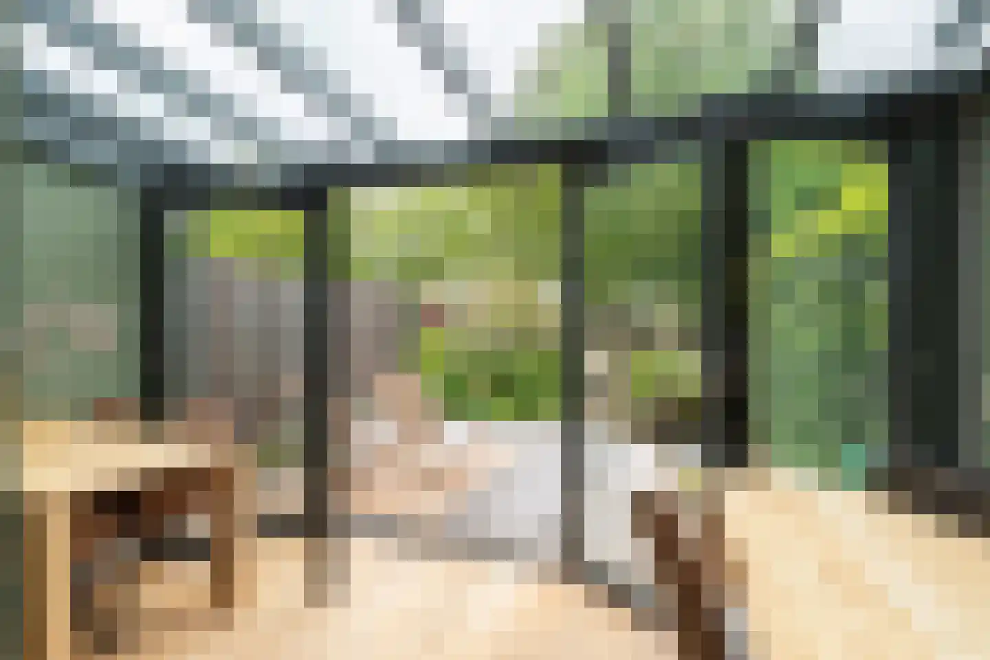 Zeester 45 Katwijk thumbnail 13