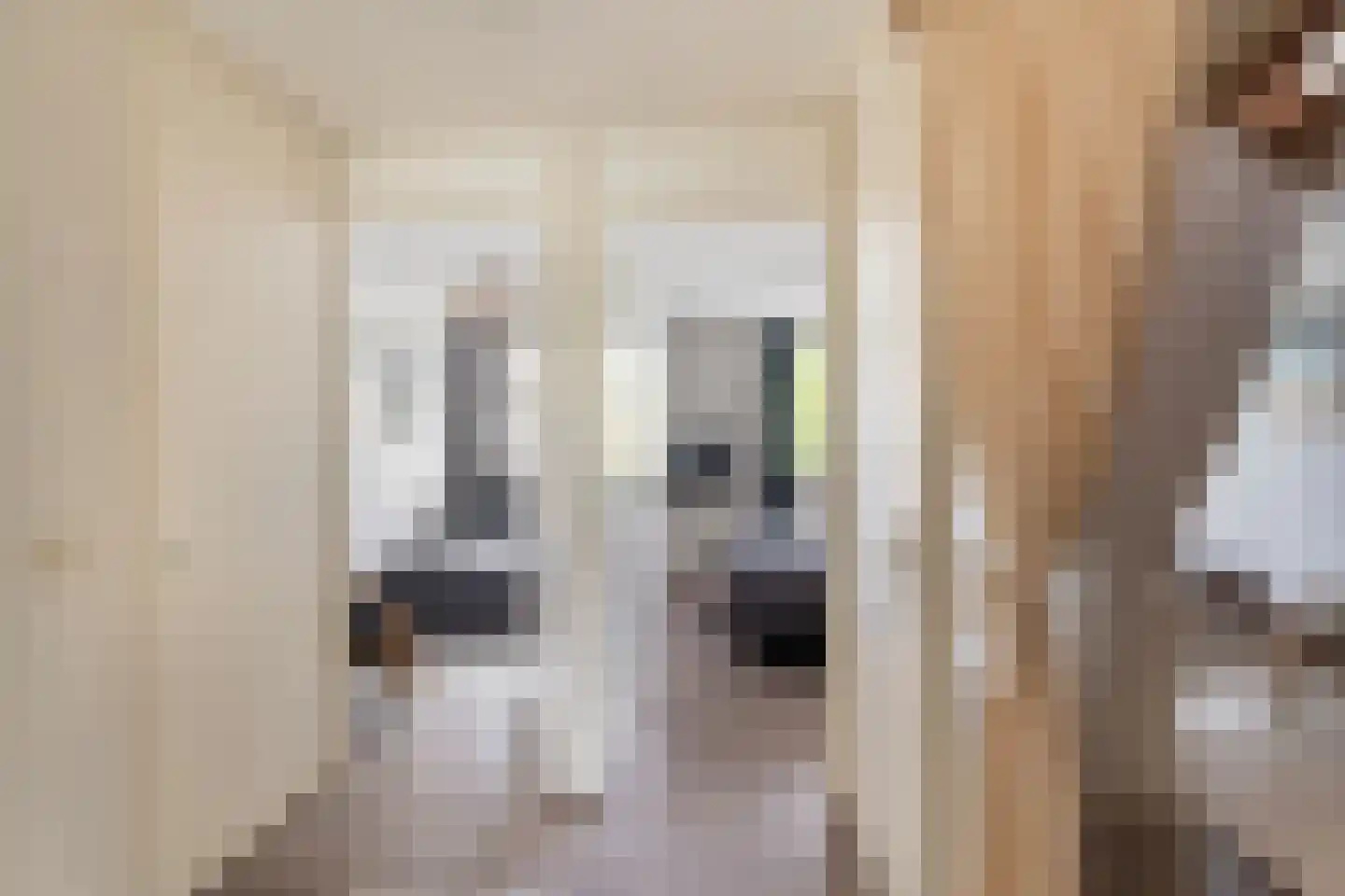Zeester 45 Katwijk thumbnail 21