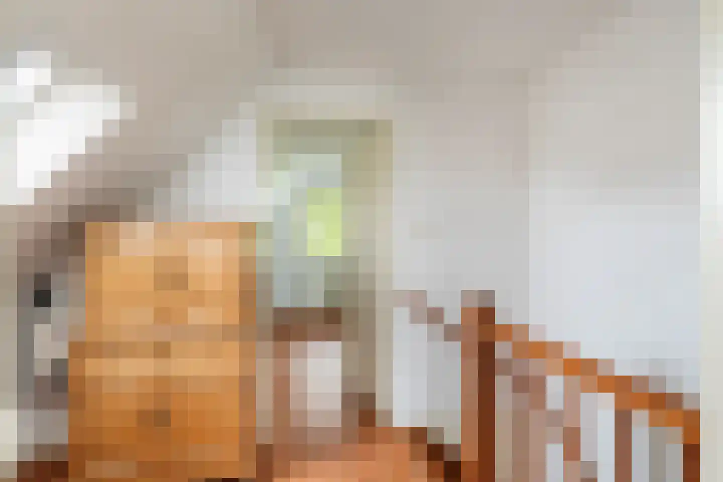 Zeester 45 Katwijk thumbnail 30