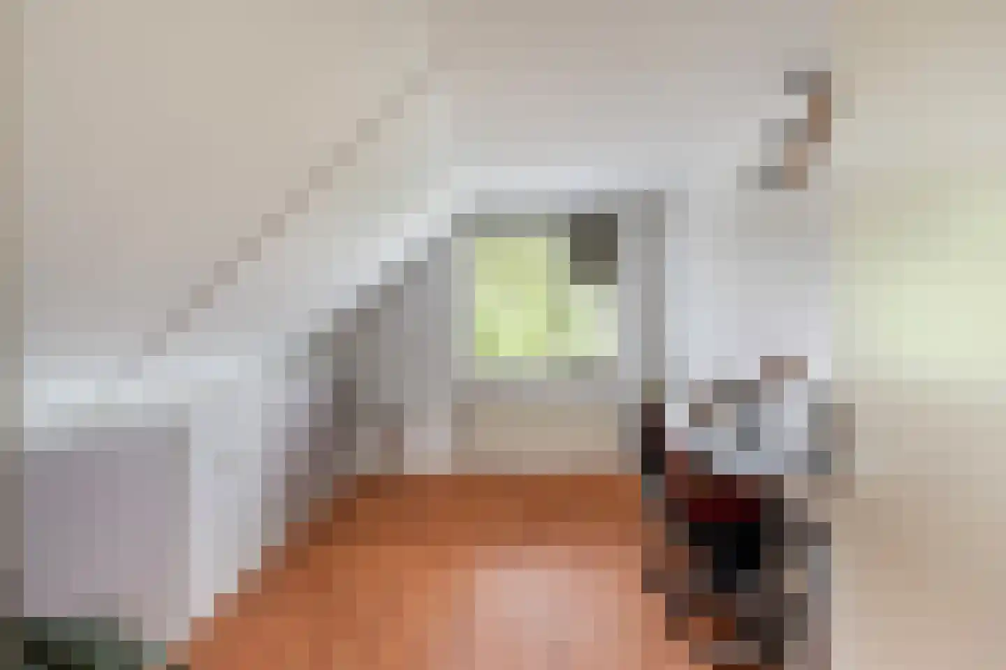 Zeester 45 Katwijk thumbnail 31