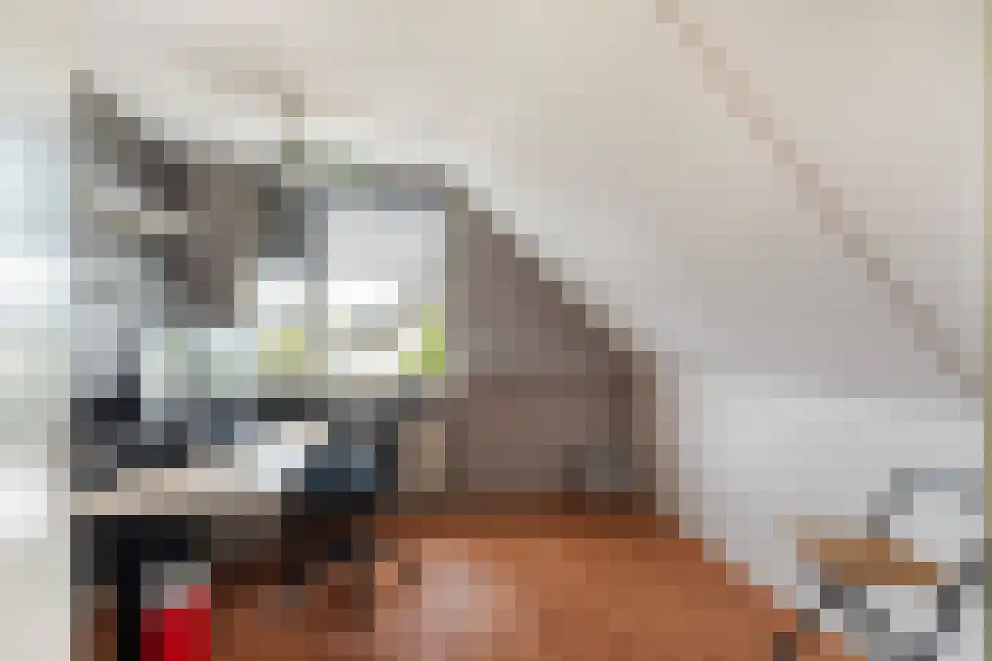 Zeester 45 Katwijk thumbnail 32