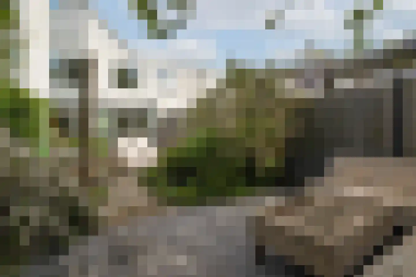 Zeester 45 Katwijk thumbnail 34