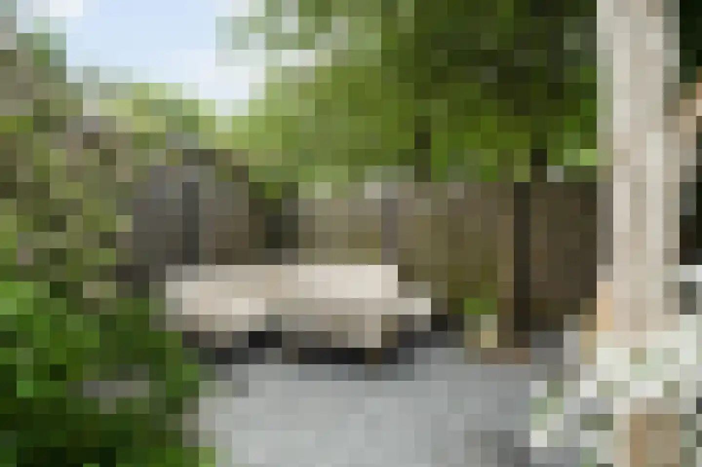Zeester 45 Katwijk thumbnail 35