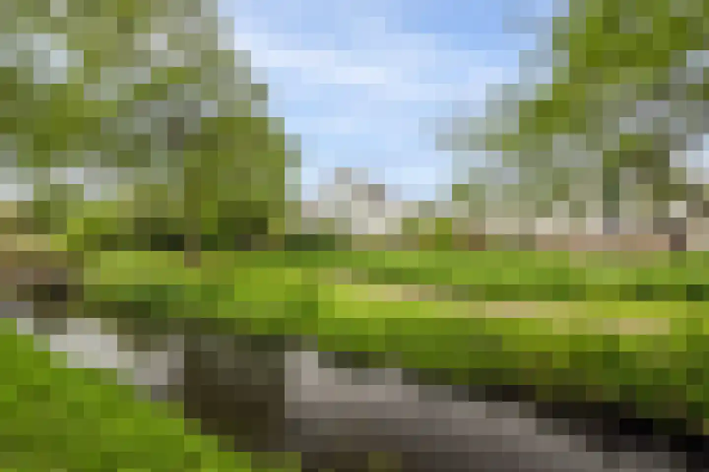 Zeester 45 Katwijk thumbnail 36
