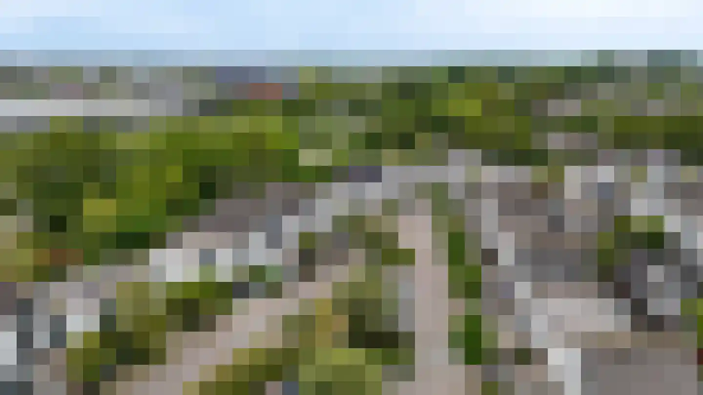 Zeester 45 Katwijk thumbnail 38