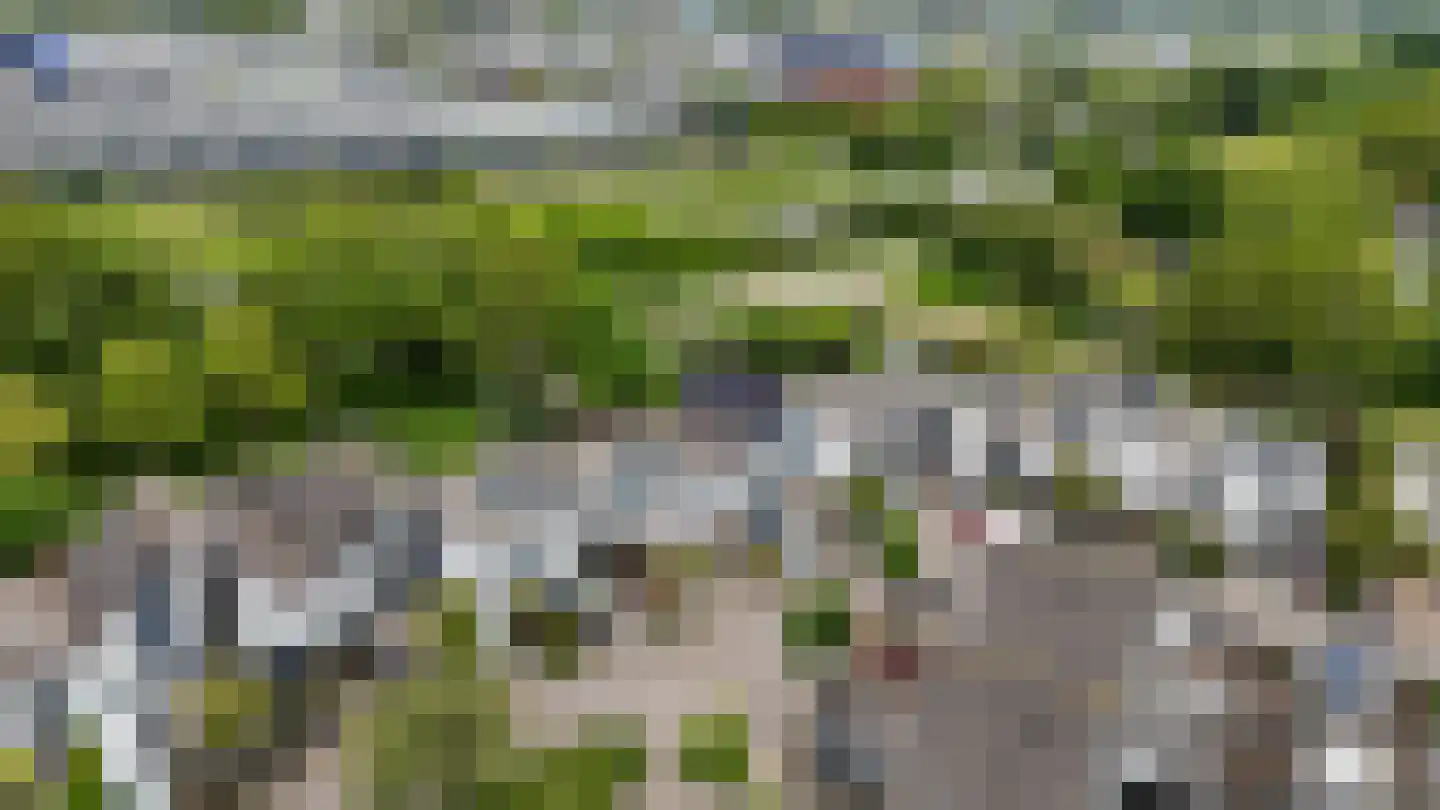 Zeester 45 Katwijk thumbnail 39