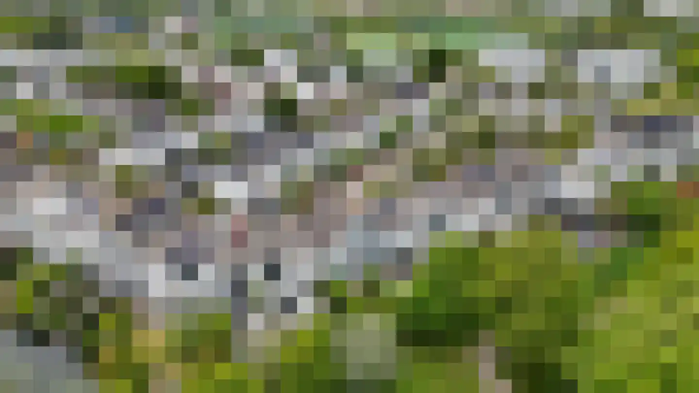 Zeester 45 Katwijk thumbnail 40