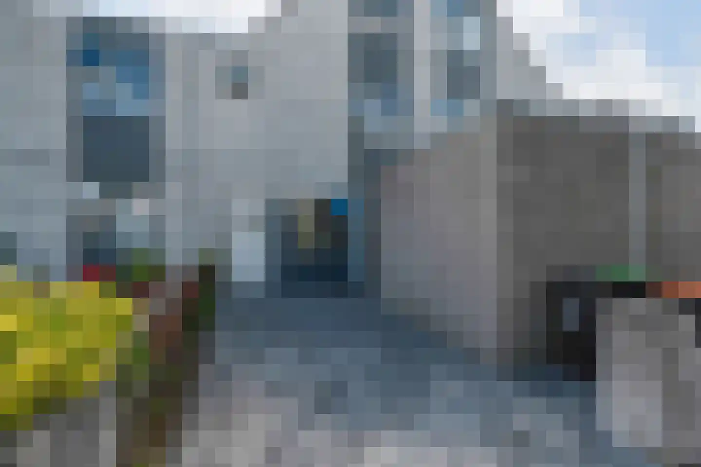 Zeester 45 Katwijk thumbnail 7