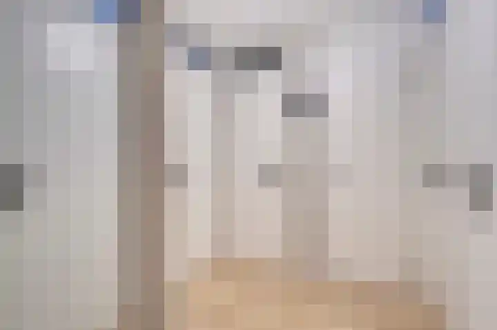 Zeester 57 Katwijk thumbnail 17
