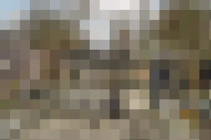 Zeester 57 Katwijk thumbnail 33