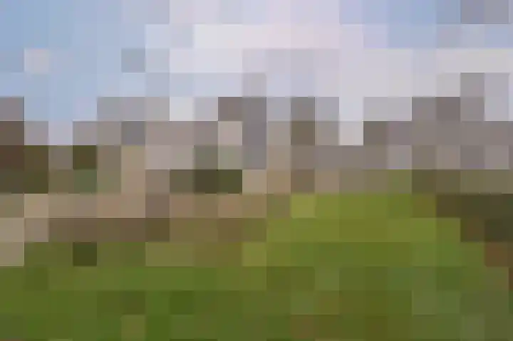 Zeester 57 Katwijk thumbnail 34