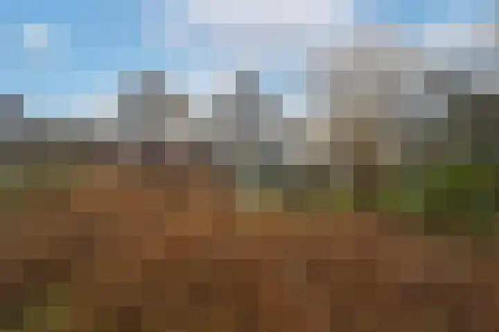 Zeester 57 Katwijk thumbnail 35