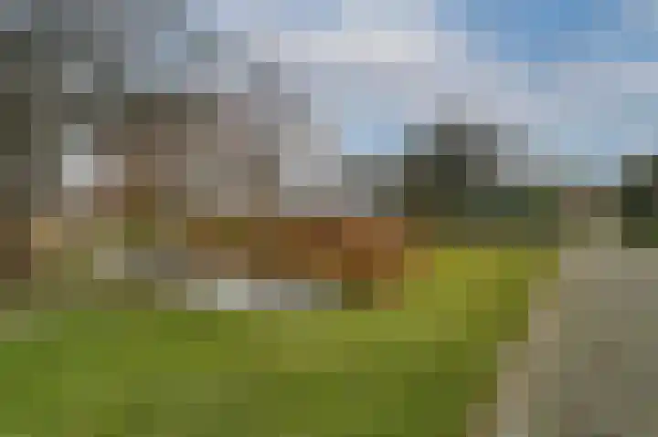 Zeester 57 Katwijk thumbnail 36