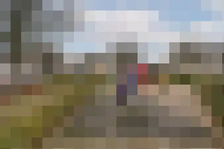 Zeester 57 Katwijk thumbnail 37