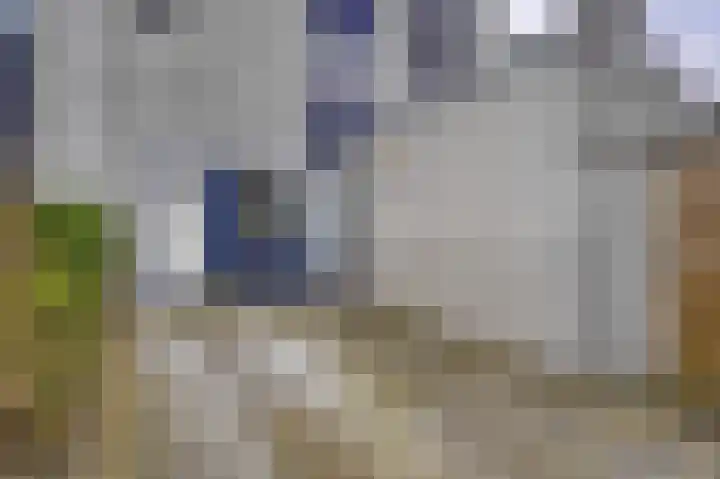 Zeester 57 Katwijk thumbnail 4