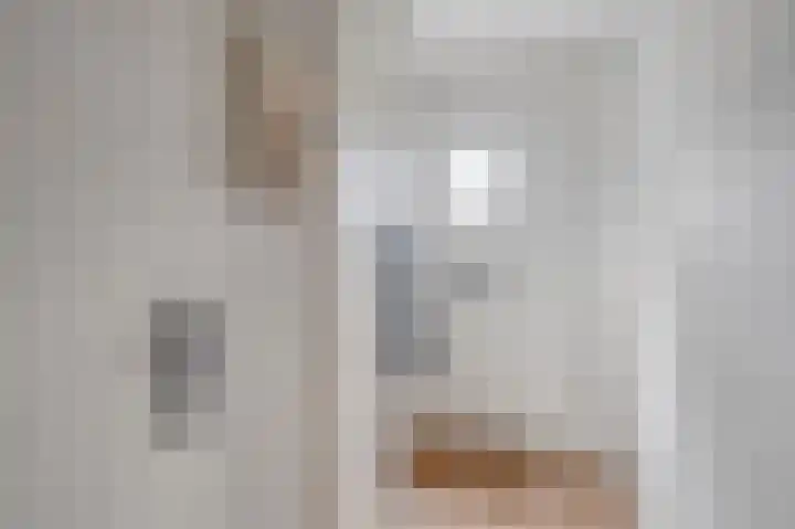 Zeester 57 Katwijk thumbnail 5